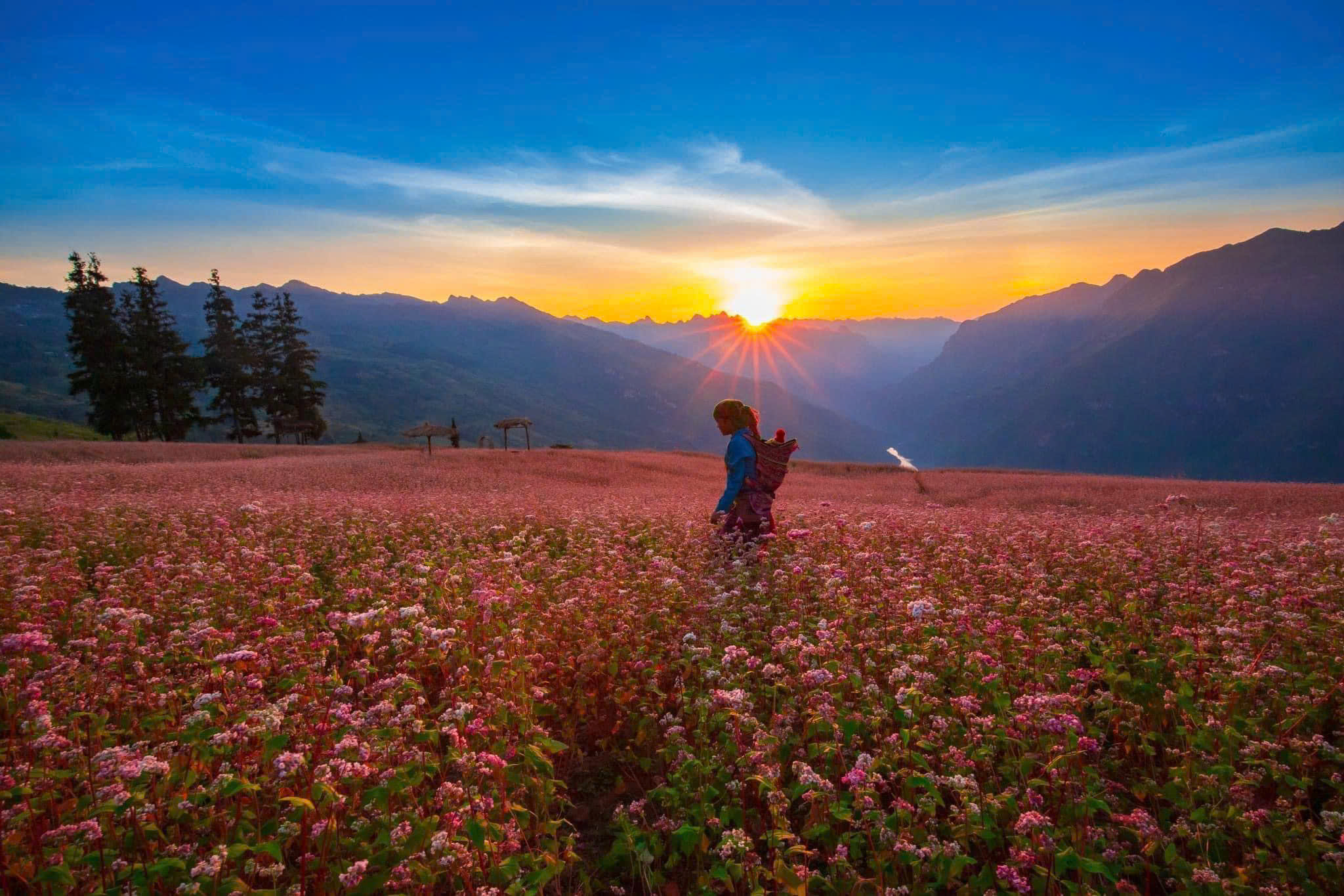 Buckwheat Cake – A Unique Specialty in Ha Giang