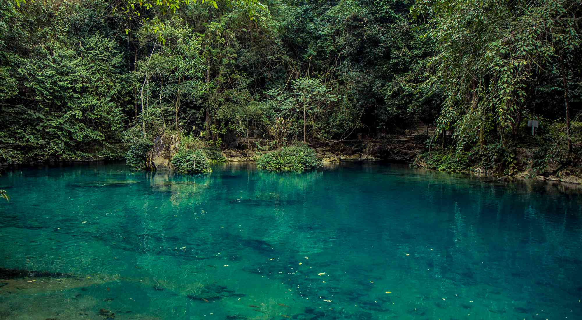 Visit Pac Bo Cave and Lenin Stream, important historical sites - Overnight in a Tay ethnic homestay in Pac Bo village